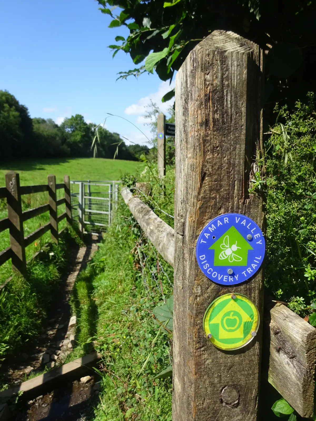 The Tamar Valley Discovery Trail is followed for two thirds of the route