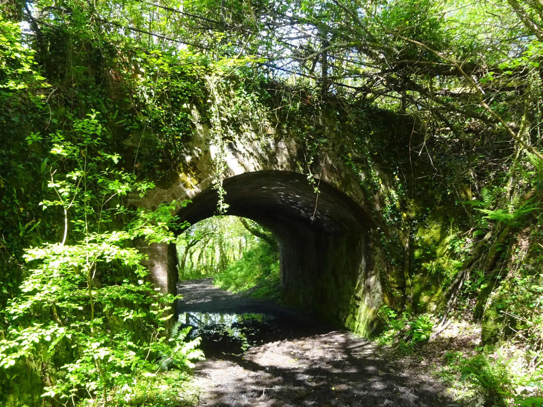 The bridleway passes under the old railway line to Tavistock