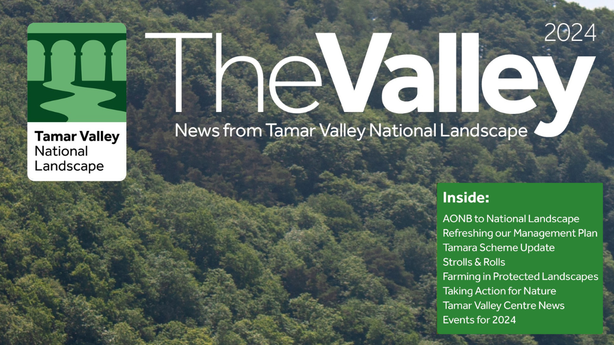 News from Tamar Valley National Landscape