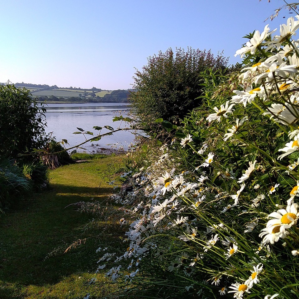 Free weekly walks in the Tamar Valley this summer