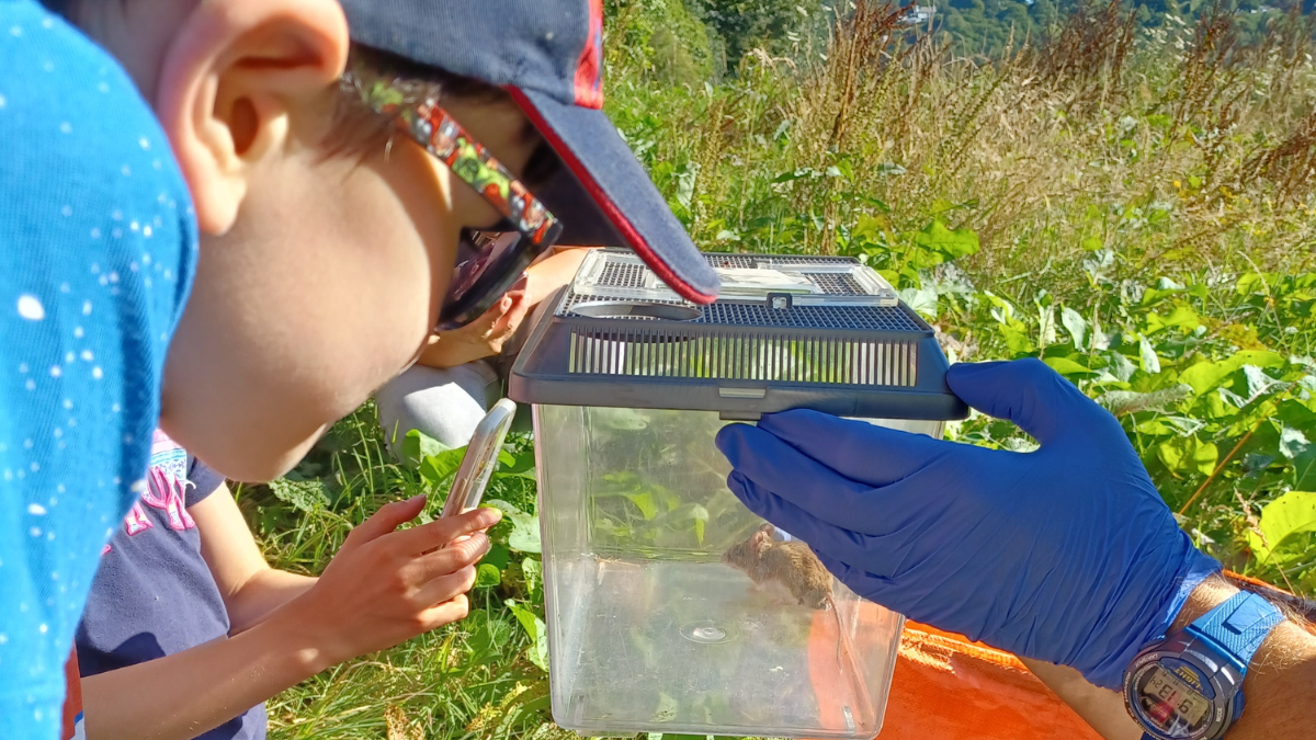 Community Action for Nature Drop-In Day comes to Bere Alston this Autumn