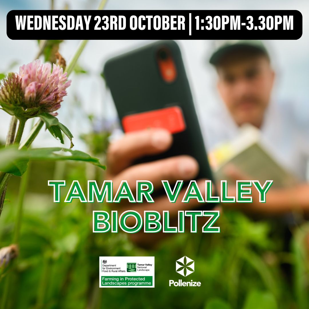 Tamar Valley Bioblitz