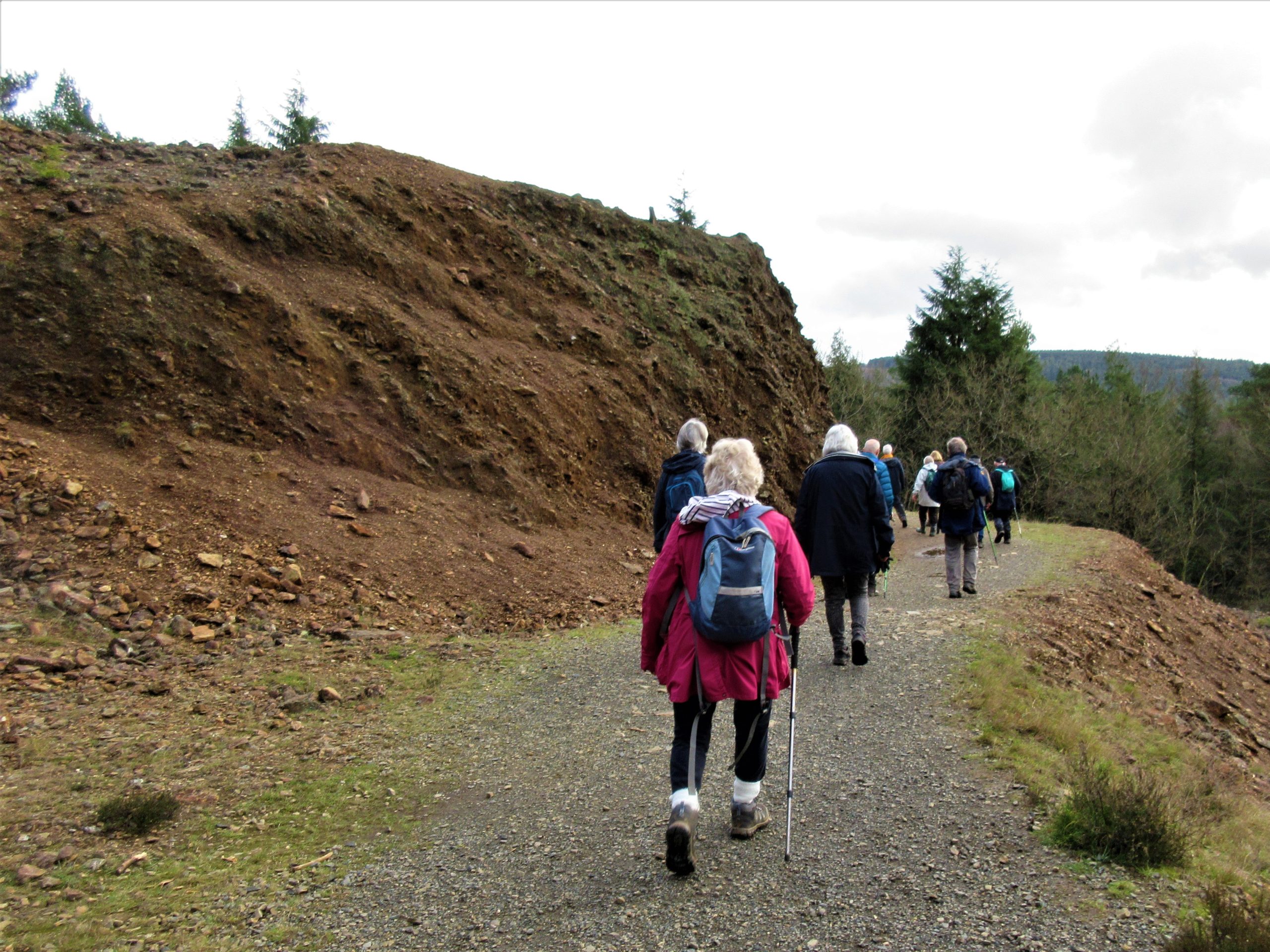 Free weekly walks in the Tamar Valley this autumn