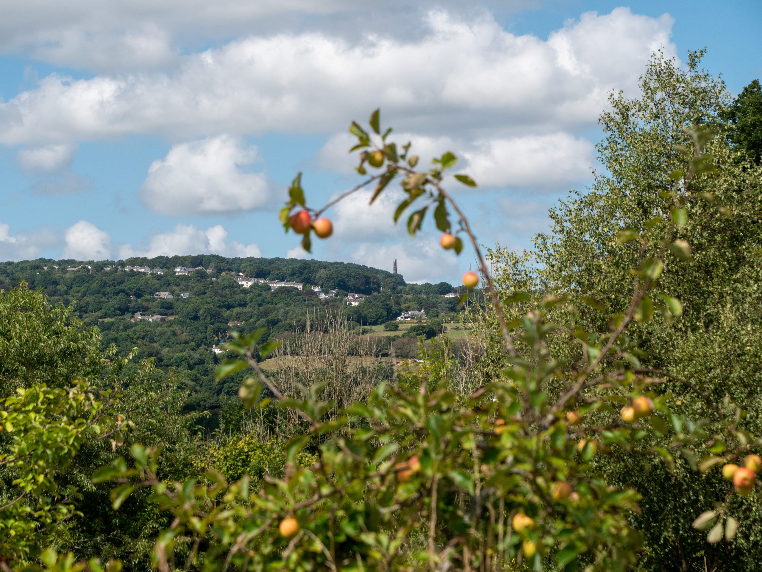 Consultation ends soon to help shape 5-year Plan for Tamar Valley National Landscape