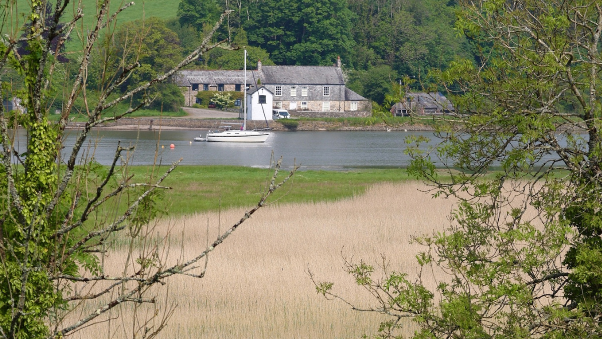 Discover signs of spring at South Hooe Cottage Farmland Nature Trail